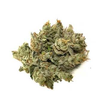 Buy OG Kush for sale online